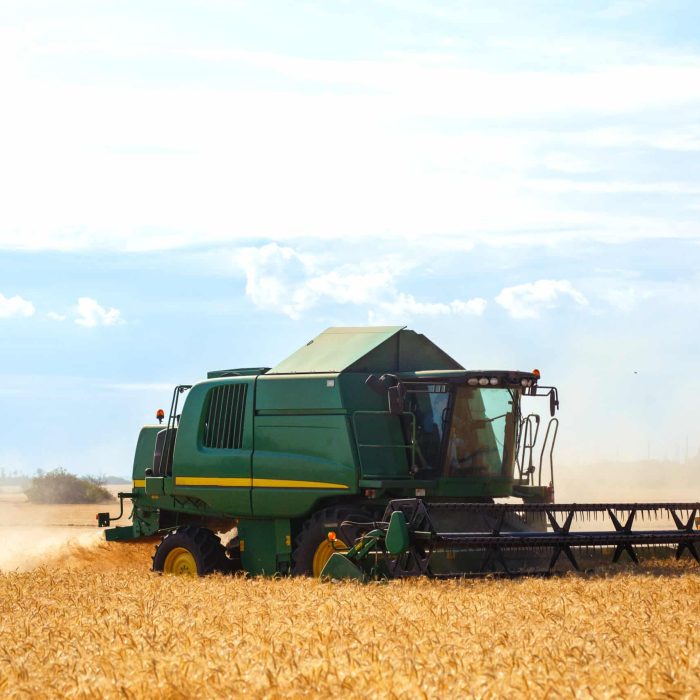 Time to harvest! Beautiful view of the work of the combine harvesting wheat. Harvester machine.